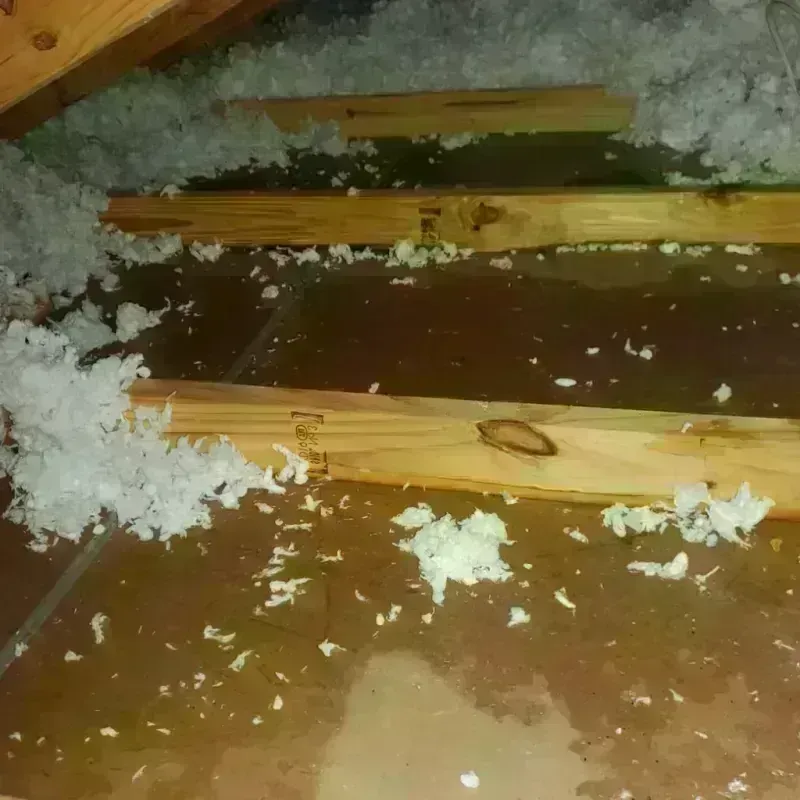 Attic Water Damage in Skagway Municipality, AK